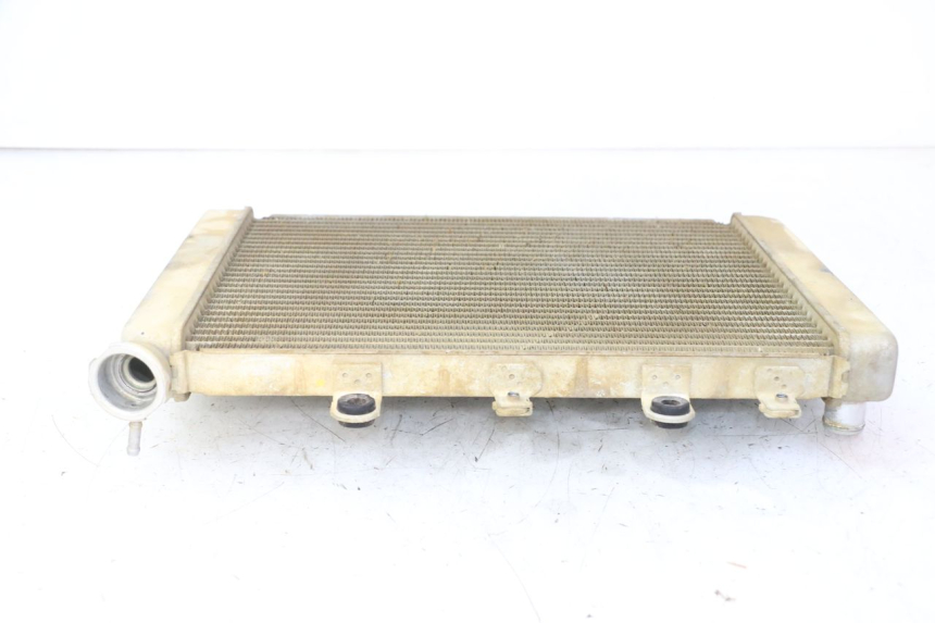 photo de RADIADOR  YAMAHA YFM GRIZZLY 550 (2008 - 2015)