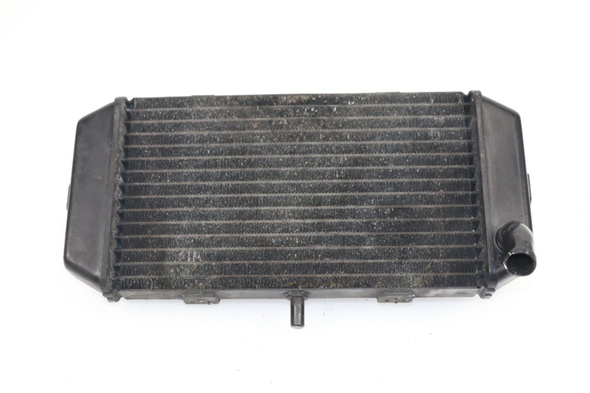 photo de RADIADOR YAMAHA YP MAJESTY 400 (2004 - 2008)