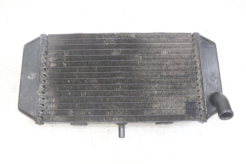 photo de RADIADOR YAMAHA YP MAJESTY 400 (2004 - 2008)