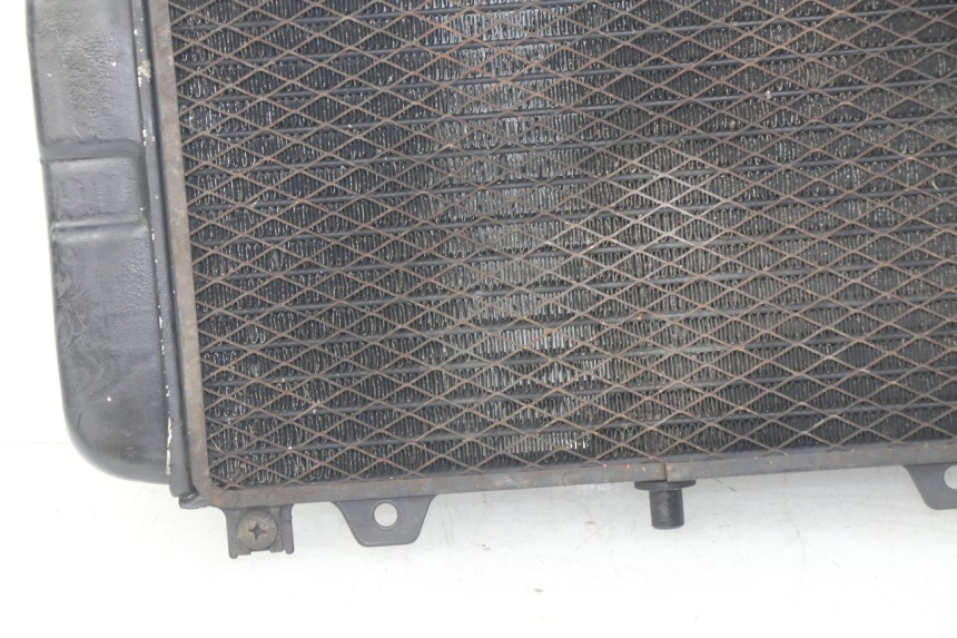 photo de RADIADOR KAWASAKI ZZR 600 (1995 - 2004)