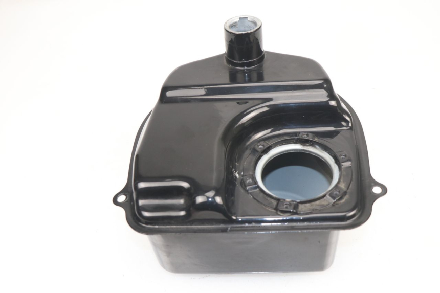 photo de DEPOSITO FUEL JM MOTORS VIPER 4T 50 (2015 - 2022)