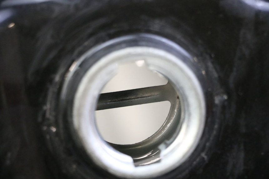 photo de DEPóSITO DE COMBUSTIBLE PEUGEOT TWEET 4T 50 (2018 - 2020)