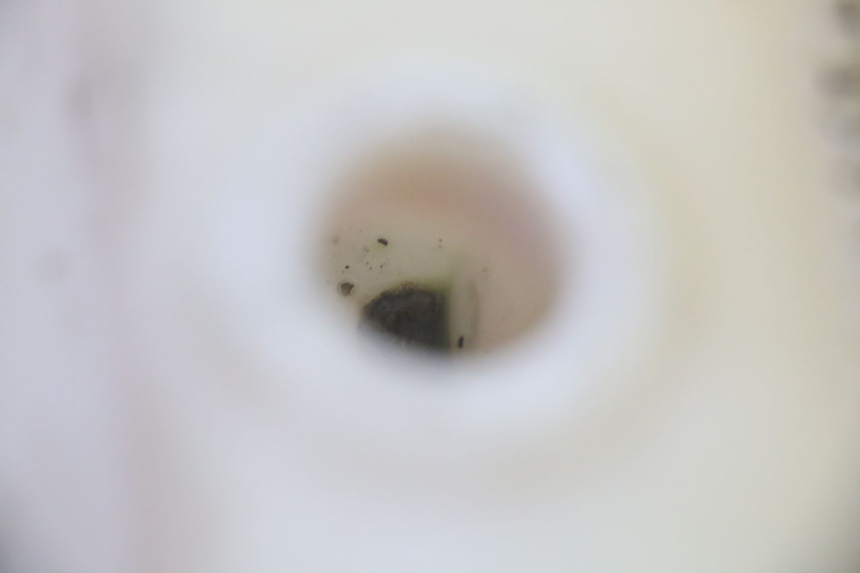 photo de DEPÓSITO DE ACEITE MBK BOOSTER SPIRIT 50 (2004 - 2017) - Zoom estado de uso