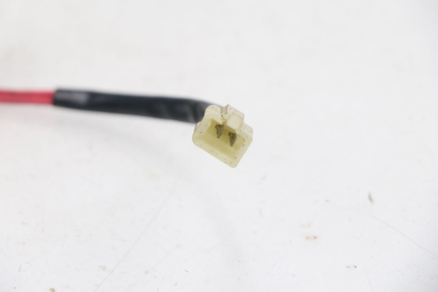 photo de RESISTENCIA TNT MOTOR ROMA 12' 2T 50 (2007 - 2018)