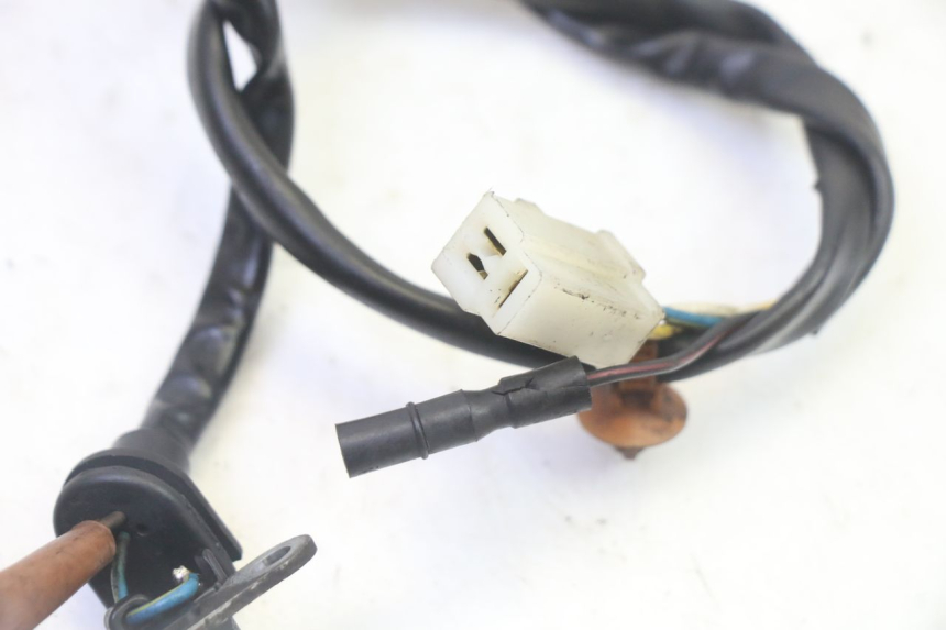 photo de ESTATOR PEUGEOT ELYSTAR 50 (2002 - 2014)