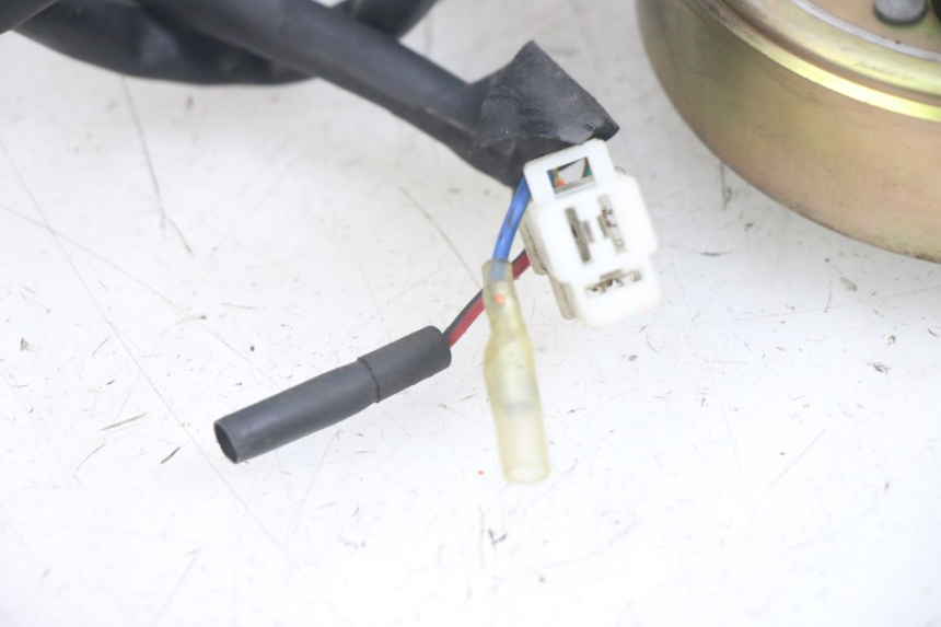 photo de ROTOR ESTATOR JM MOTORS EVOLIS 4T 50 (2018 - 2022)