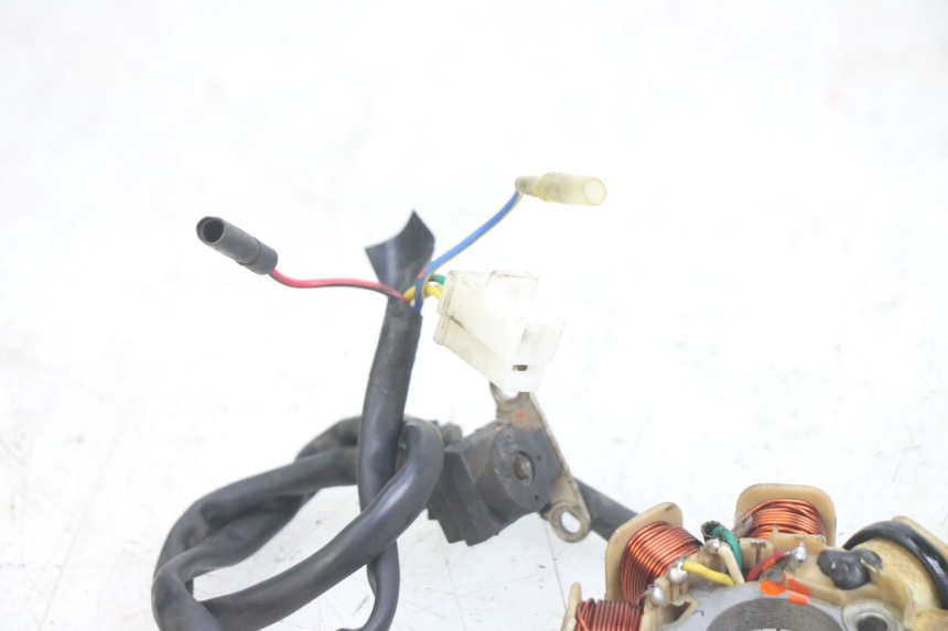 photo de ROTOR ESTATOR JM MOTORS EVOLIS 4T 50 (2018 - 2022)