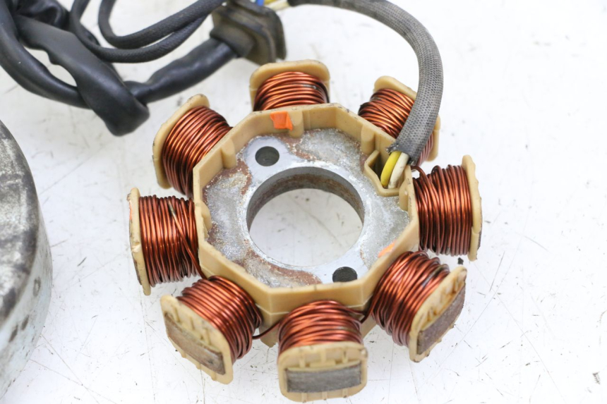 photo de ROTOR ESTATOR JM MOTORS EVOLIS 4T 50 (2018 - 2022)