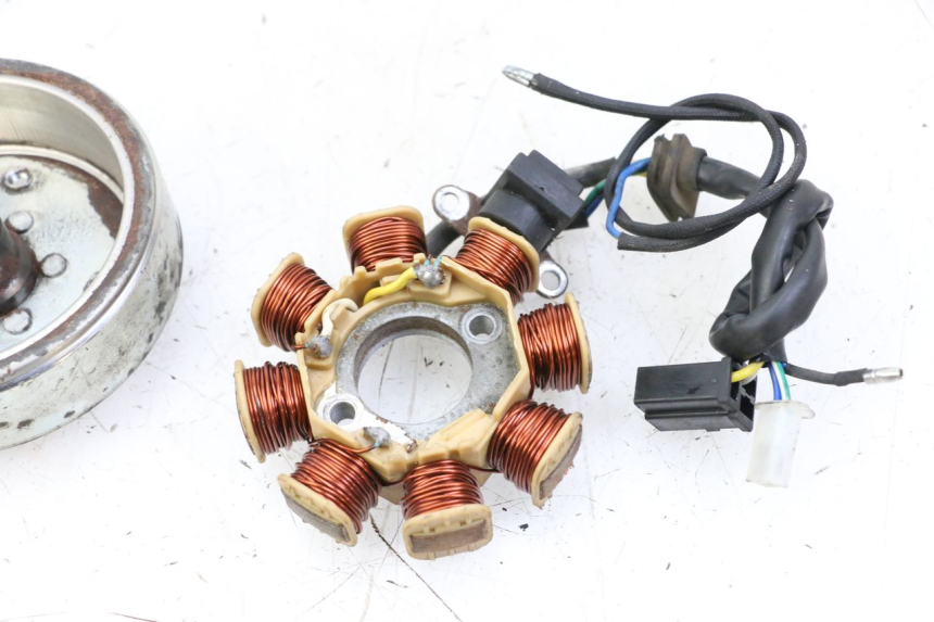 photo de ROTOR ESTATOR JM MOTORS EVOLIS 4T 50 (2018 - 2022)
