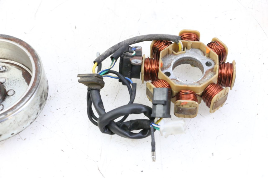 photo de ROTOR ESTATOR JM MOTORS EVOLIS 4T 50 (2018 - 2022)