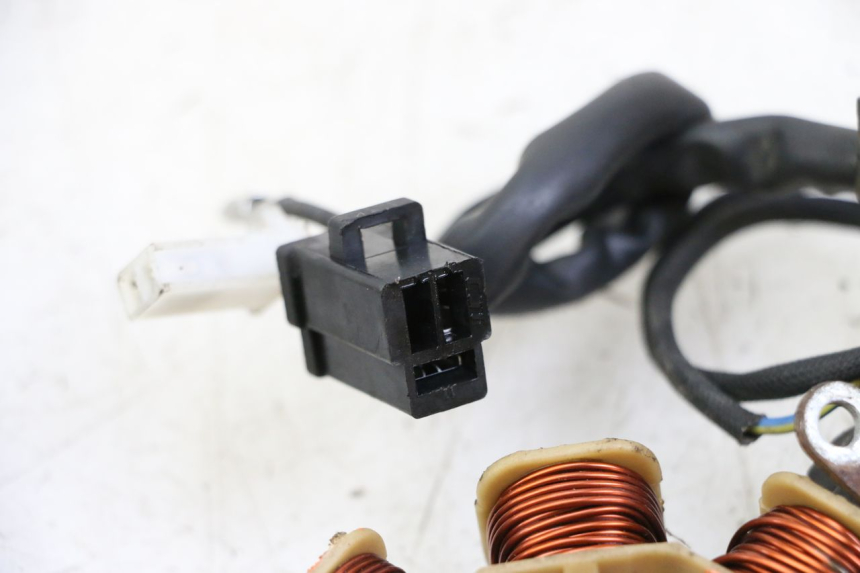 photo de ROTOR ESTATOR JM MOTORS EVOLIS 4T 50 (2018 - 2022)