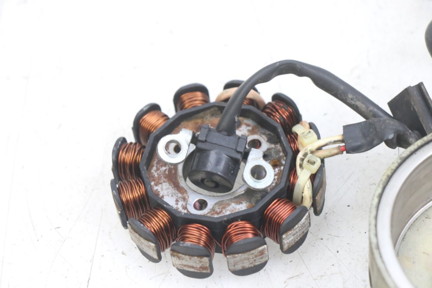 photo de ROTOR ESTATOR TNT MOTOR FASTINO 4T 50 (2013 - 2019)