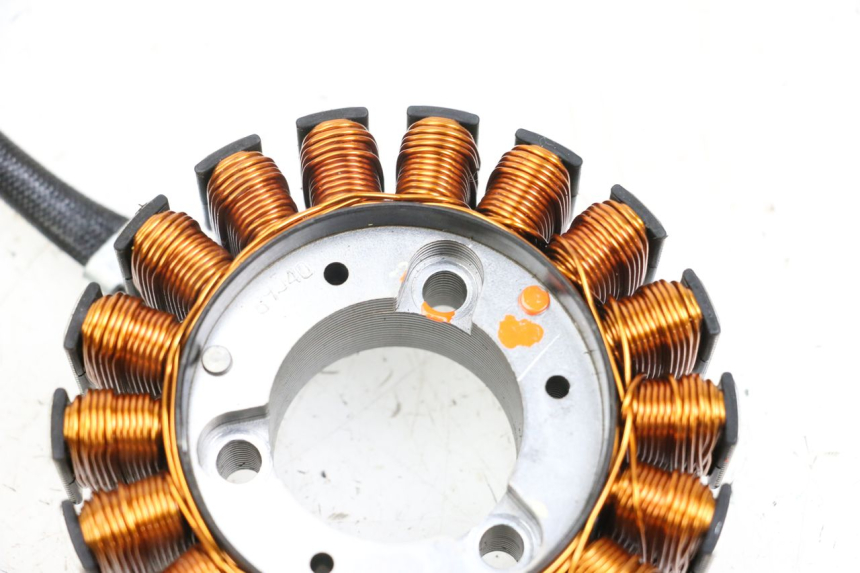 photo de ESTATOR HONDA FES PANTHEON 2T 125 (1998 - 2002)