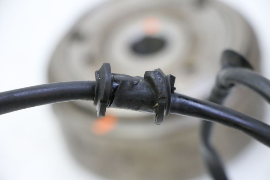 photo de ROTOR ESTATOR HONDA FES S-WING SWING ABS 125 (2007 - 2015)