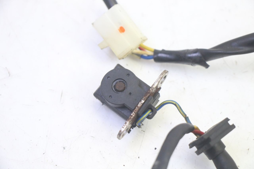 photo de ESTATOR EUROCKA GTR 50 (2018 - 2021) - Detalles de los puntos de fijación