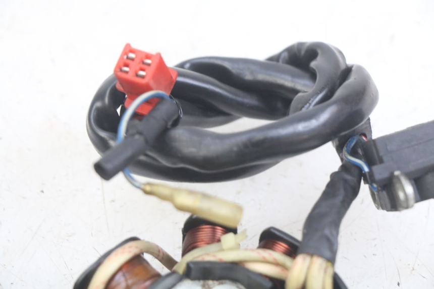 photo de ROTOR ESTATOR REVATTO IMPERATOR 125 (2007 - 2015)