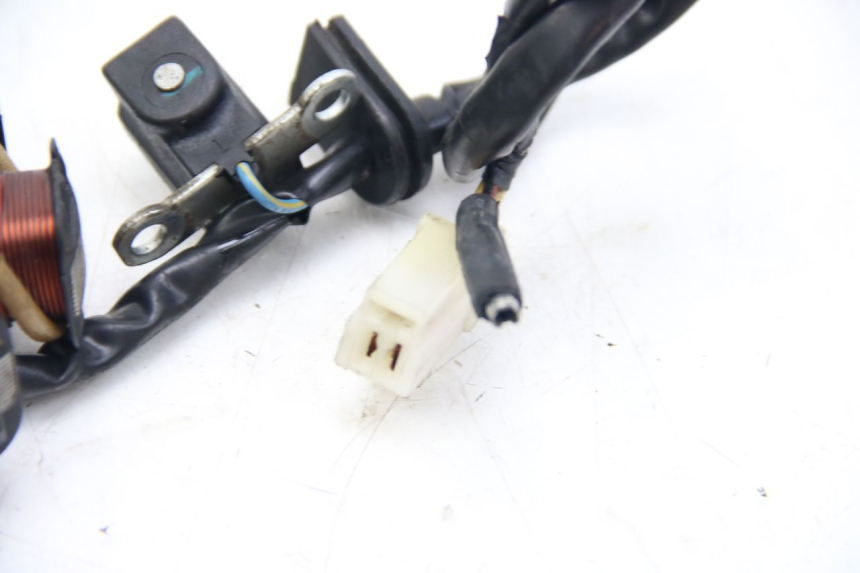 photo de ROTOR ESTATOR PEUGEOT KISBEE 2T 50 (2010 - 2017)