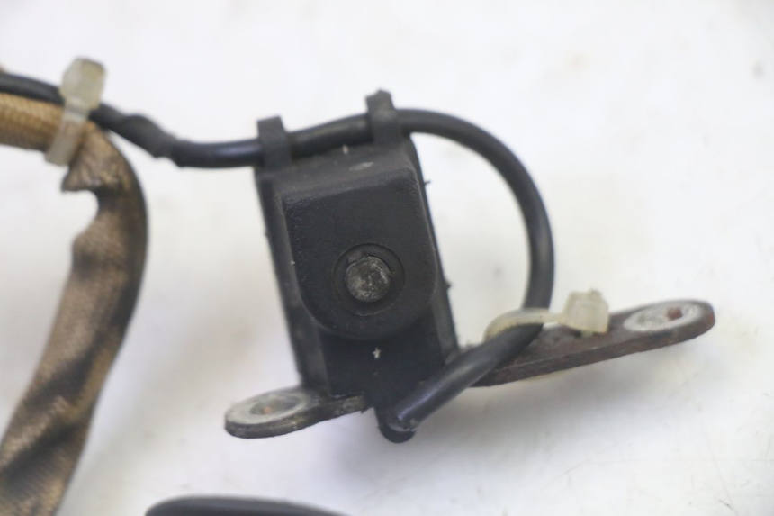 photo de ESTATOR PIAGGIO NEW TYPHOON 50 (2010 - 2017)