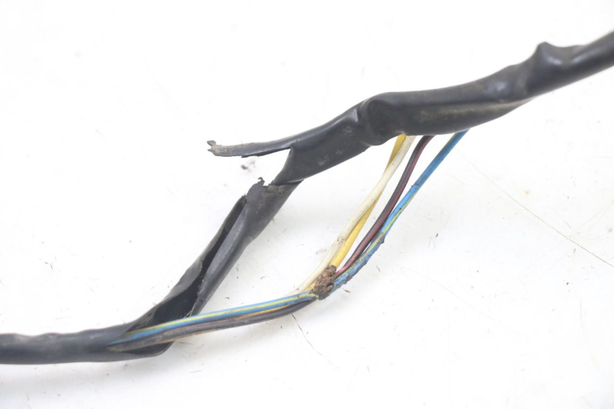 photo de ROTOR ESTATOR PEUGEOT TKR TREKKER FURIOUS 50 (2005 - 2014)