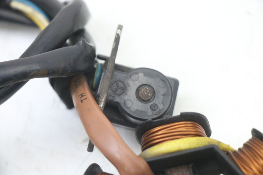 photo de ROTOR ESTATOR PEUGEOT TKR TREKKER FURIOUS 50 (2005 - 2014)