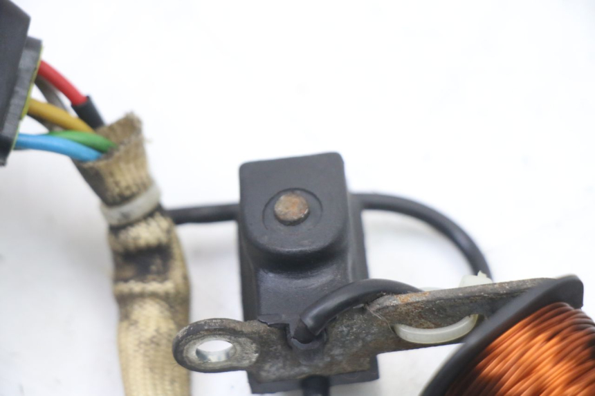 photo de ROTOR ESTATOR PIAGGIO ZIP 2T 50 (2009 - 2019)