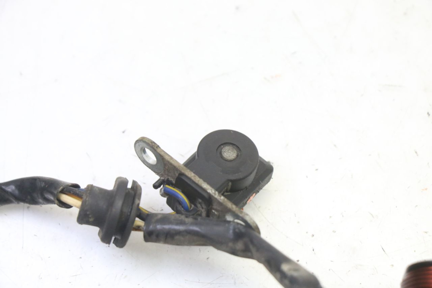 photo de ROTOR ESTATOR PGO RODOSHOW 2T 50 (2003 - 2007)