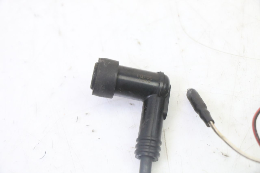 photo de ESTATOR DERBI SENDA SM DRD 50 (2008 - 2013)