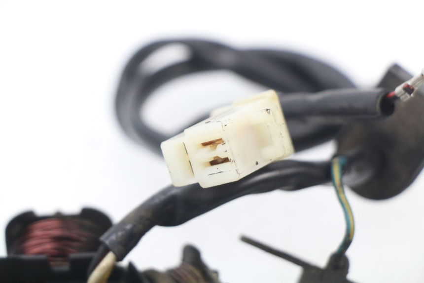 photo de ESTATOR PEUGEOT SPEEDFIGHT 3 AIR 50 (2009 - 2015)