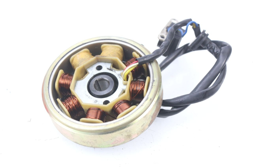 photo de ROTOR ESTATOR JM MOTORS SUNNY 50 (2017 - 2020)