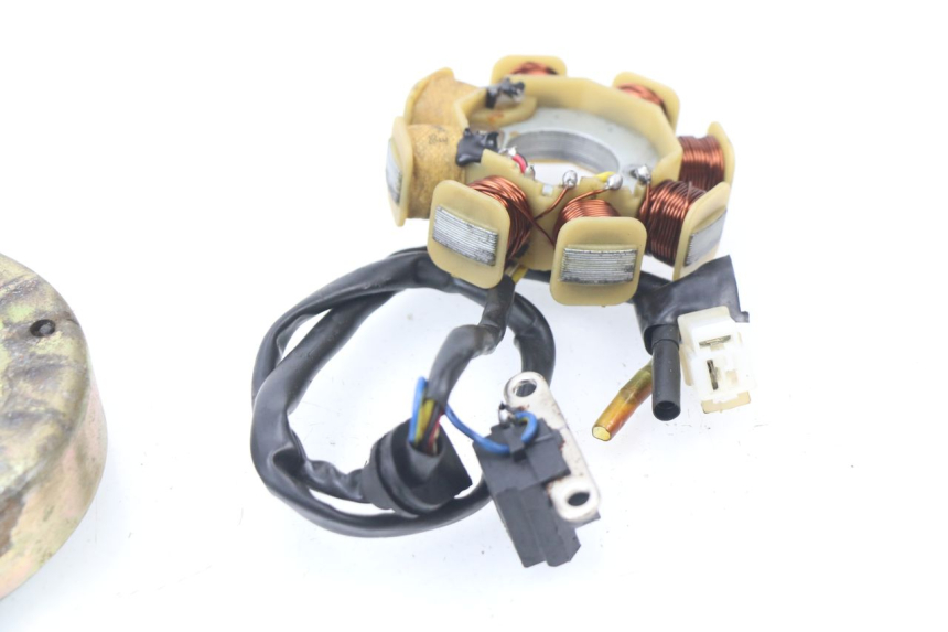 photo de ROTOR ESTATOR JM MOTORS SUNNY 50 (2017 - 2020)