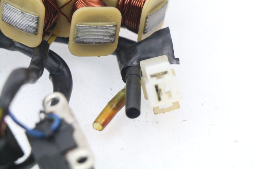 photo de ROTOR ESTATOR JM MOTORS SUNNY 50 (2017 - 2020)