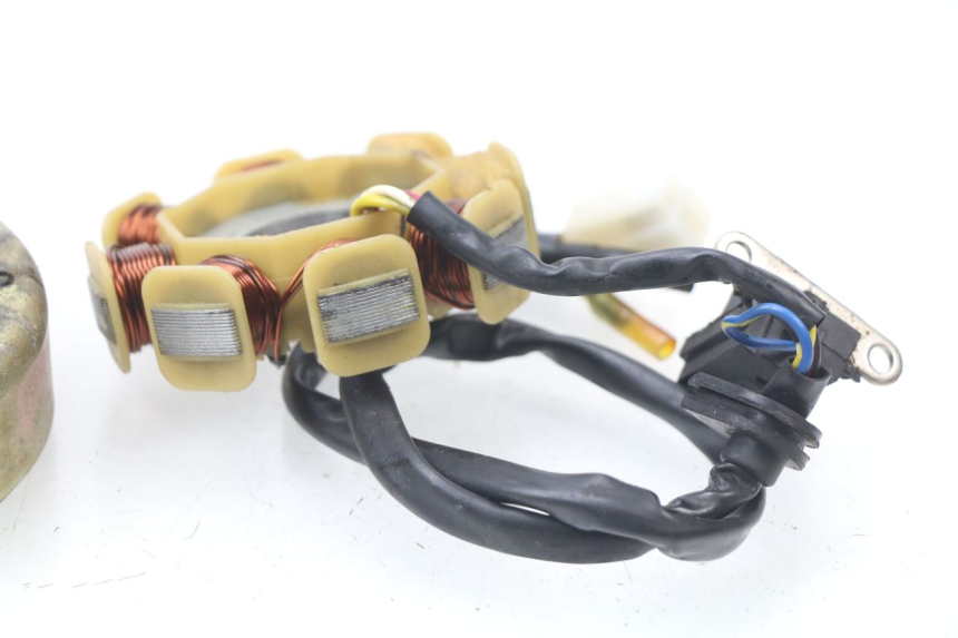 photo de ROTOR ESTATOR JM MOTORS SUNNY 50 (2017 - 2020)