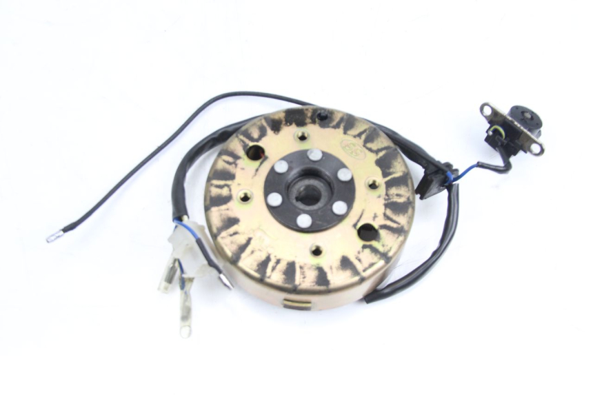 photo de ROTOR ESTATOR TNT MOTOR ROMA 10' 4T 50 (2007 - 2018)