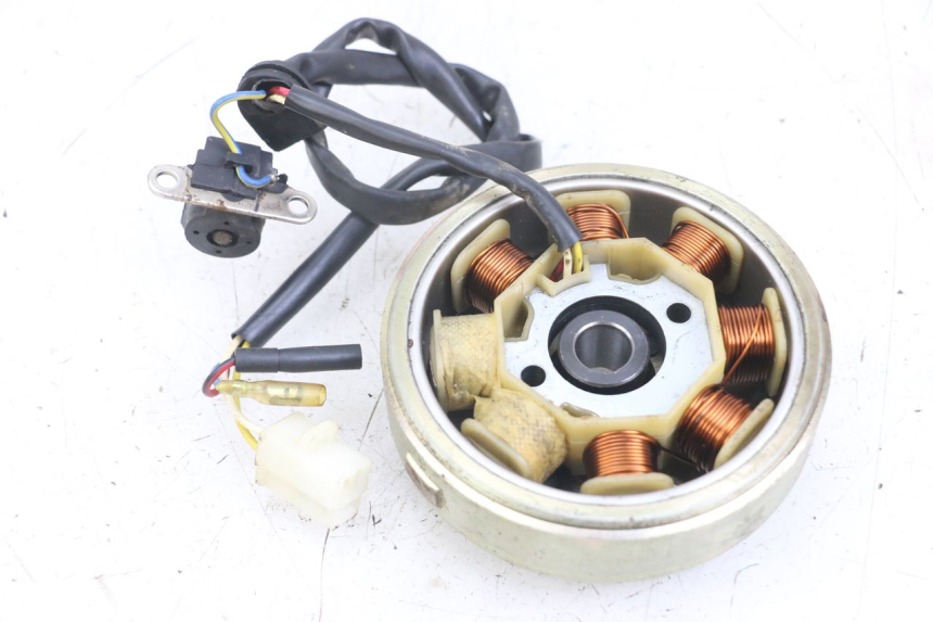 photo de ROTOR ESTATOR TNT MOTOR ROMA 10' 4T 50 (2007 - 2018)