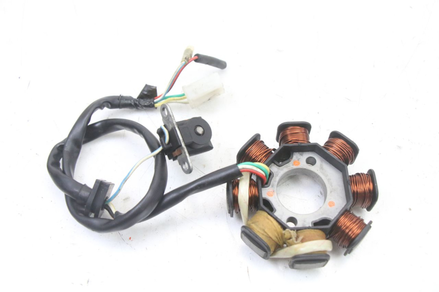 photo de ESTATOR UNIVERSAL BIKE ZN50QT-11B 50 (2018 - 2021)