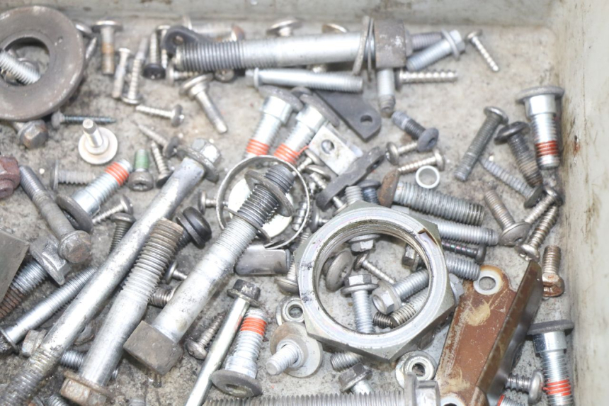 photo de BOLSA DE TORNILLERÍA TORNILLO APRILIA ATLANTIC 500 (2002 - 2003)