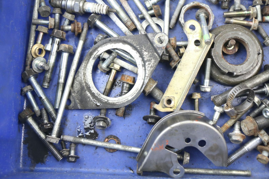 photo de BOLSA DE TORNILLERÍA TORNILLO HONDA FES PANTHEON 125 (2003 - 2007)