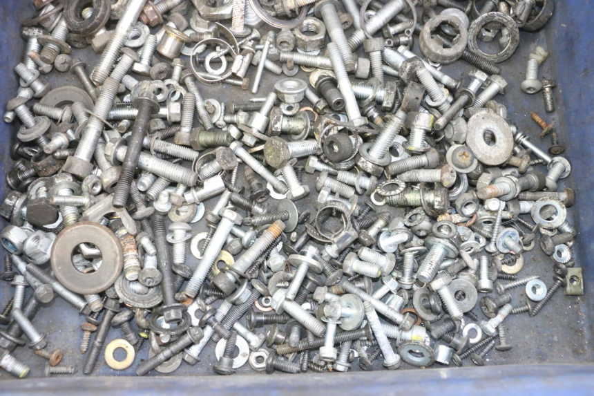 photo de BOLSA DE TORNILLERÍA TORNILLO PIAGGIO MP3 500 (2011 - 2015)