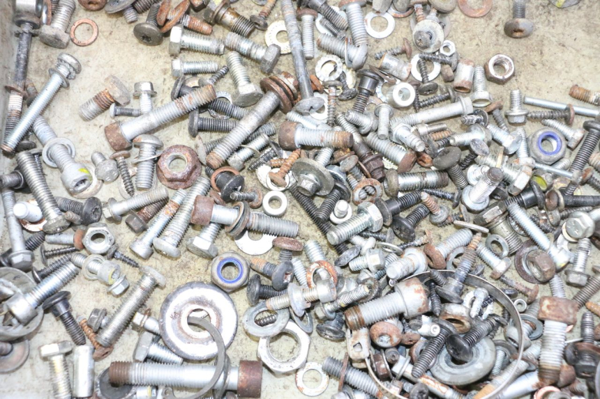 photo de BOLSA DE TORNILLERÍA TORNILLO PIAGGIO MP3 RL 250 (2007 - 2010)