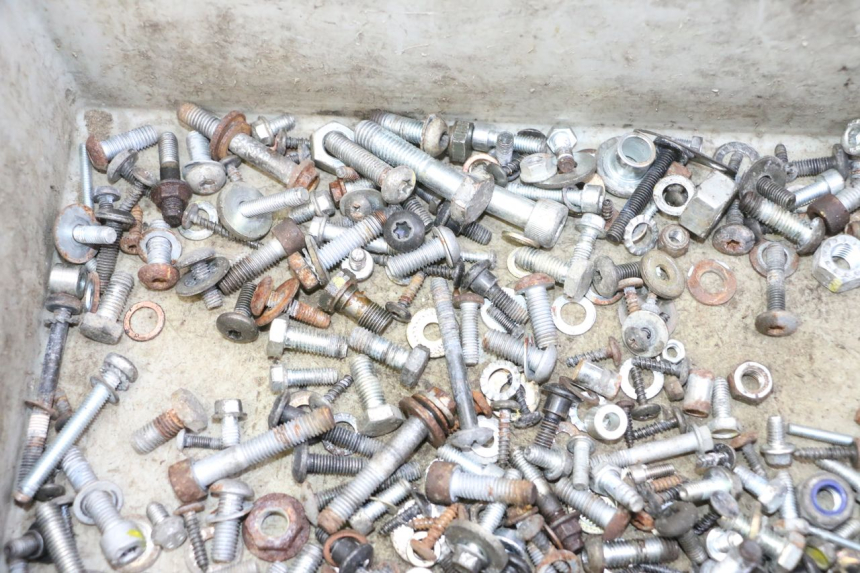 photo de BOLSA DE TORNILLERÍA TORNILLO PIAGGIO MP3 RL 250 (2007 - 2010)
