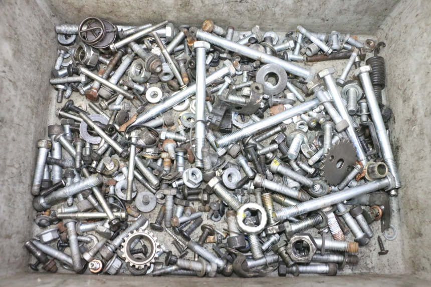 photo de BOLSA DE TORNILLERÍA TORNILLO PIAGGIO MP3 RL 250 (2007 - 2010)