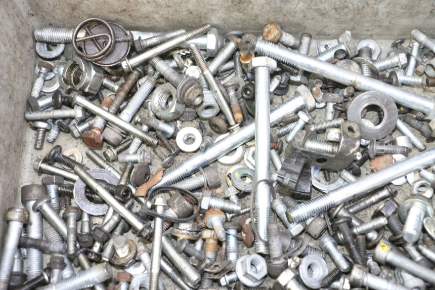 photo de BOLSA DE TORNILLERÍA TORNILLO PIAGGIO MP3 RL 250 (2007 - 2010)