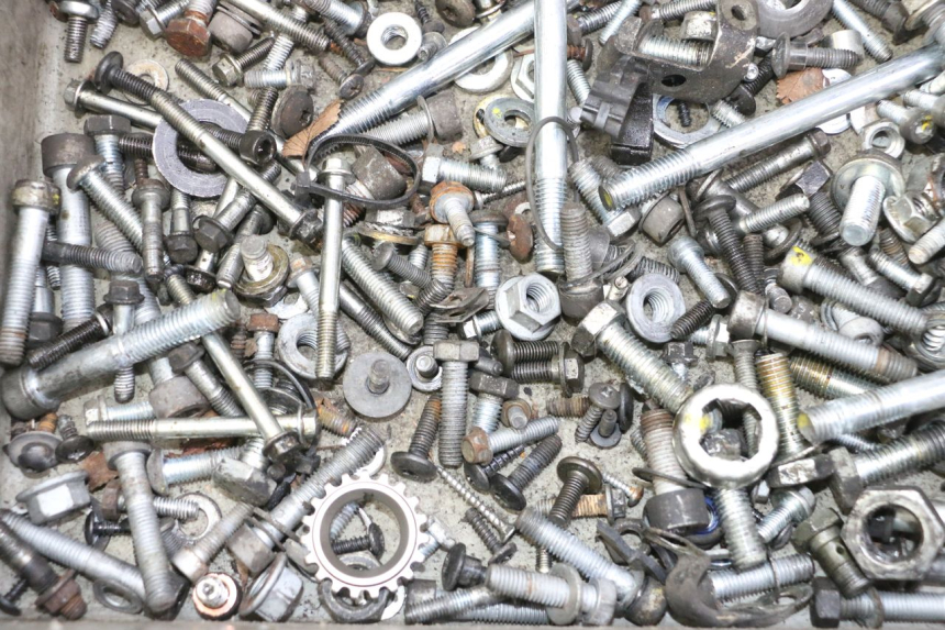 photo de BOLSA DE TORNILLERÍA TORNILLO PIAGGIO MP3 RL 250 (2007 - 2010)