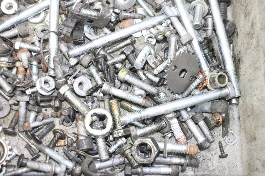 photo de BOLSA DE TORNILLERÍA TORNILLO PIAGGIO MP3 RL 250 (2007 - 2010)