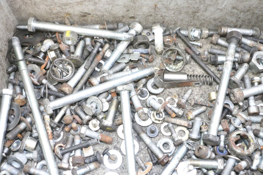 photo de BOLSA DE TORNILLERÍA TORNILLO PIAGGIO MP3 RL 250 (2007 - 2010) - Zoom estado de uso