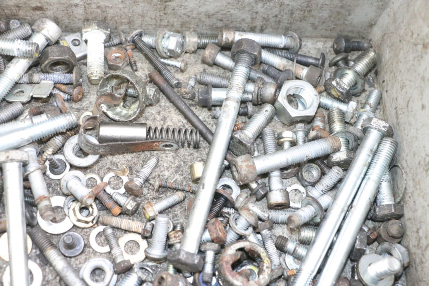 photo de BOLSA DE TORNILLERÍA TORNILLO PIAGGIO MP3 RL 250 (2007 - 2010) - Vista general del producto