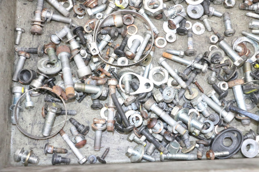 photo de BOLSA DE TORNILLERÍA TORNILLO PIAGGIO MP3 RL 250 (2007 - 2010) - Otra perspectiva