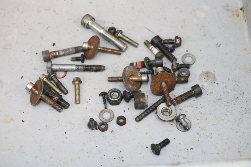 photo de BOLSA DE TORNILLERÍA TORNILLO PEUGEOT LUDIX 50 (2008 - 2017)