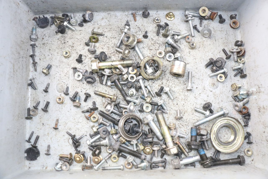 photo de BOLSA DE TORNILLERÍA TORNILLO DAELIM S3 125 (2010 - 2017)