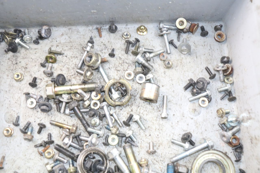 photo de BOLSA DE TORNILLERÍA TORNILLO DAELIM S3 125 (2010 - 2017)